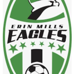Sports team logo featuring an eagle and a soccer ball.