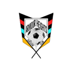 A colorful soccer-themed emblem with crossed bats.
