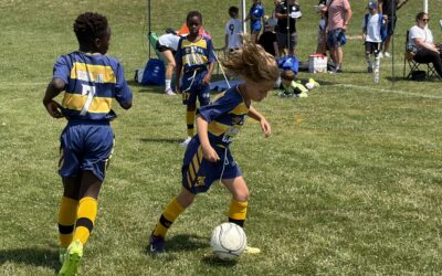 2017 Heavens Eleven FC Sports Newsletter